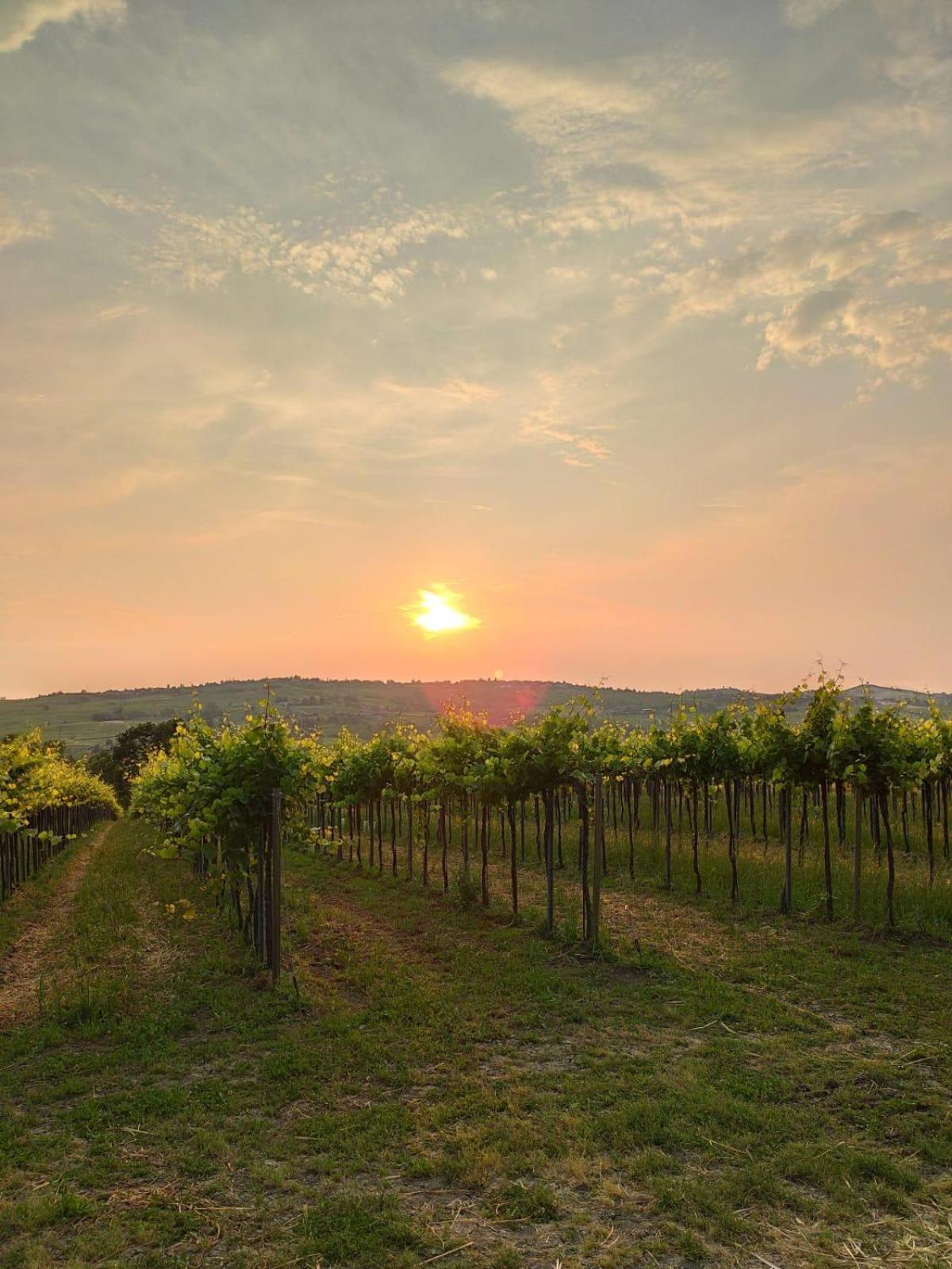Agriturismo Bosco Longhino Santa Maria della Versa Екстериор снимка